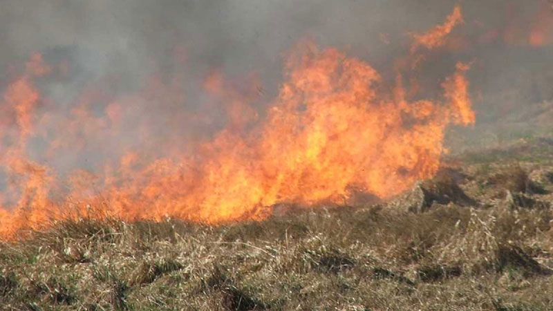MUP apeluje na građane da ne spaljuju nisko rastinje i ne lože vatru 